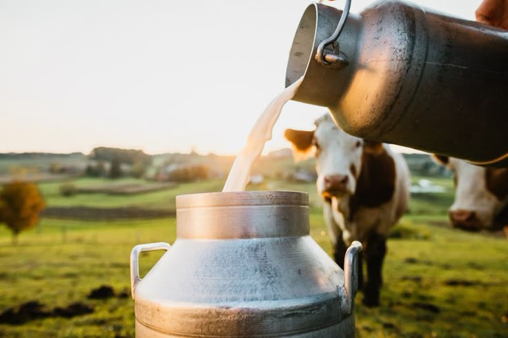 Mengapa Tren Raw Milk Perlu Diwaspadai? Ini Penjelasan Ilmiahnya